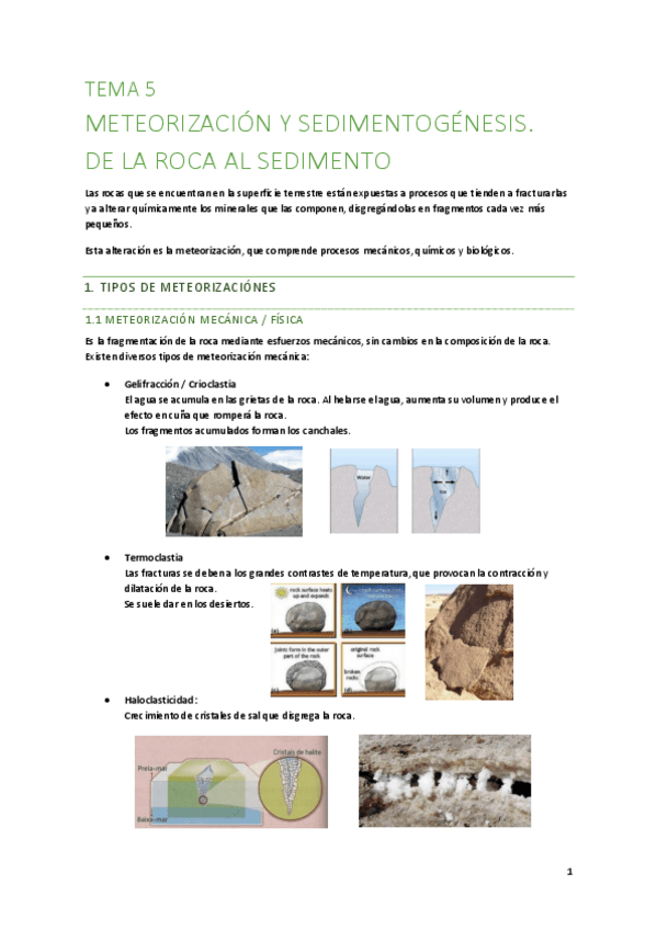 Miniatura del documento T5-De-la-roca-al-sediemento.pdf