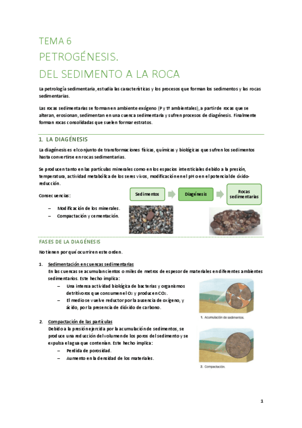 Miniatura del documento T6-Del-sedimento-a-la-roca.pdf