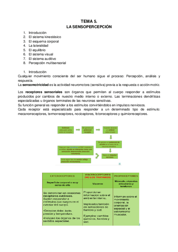 Miniatura del documento tema-5.-Desarrollo-psicomotor.pdf