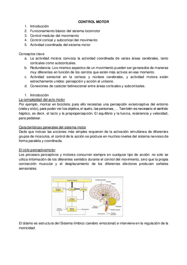 Miniatura del documento anexo-motor-tema-5.-desarrollo-psicomotor.pdf