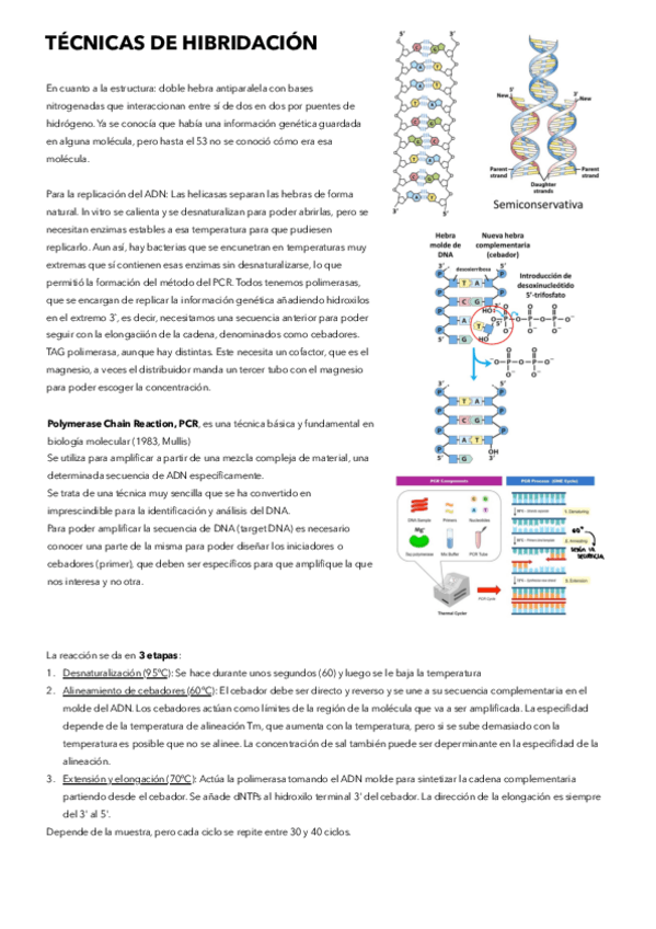Miniatura del documento 17.-Tecnicas-de-hibridacion.pdf