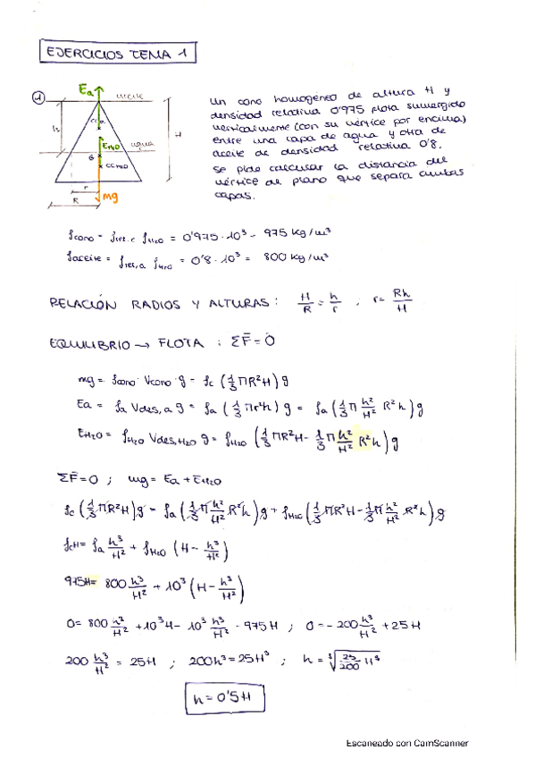Miniatura del documento EJERS-TEMA-1-FSYF.pdf