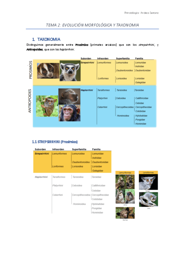 Miniatura del documento TEMA-2-EVOLUCION-MORFOLOGICA-Y-TAXONOMIA.pdf