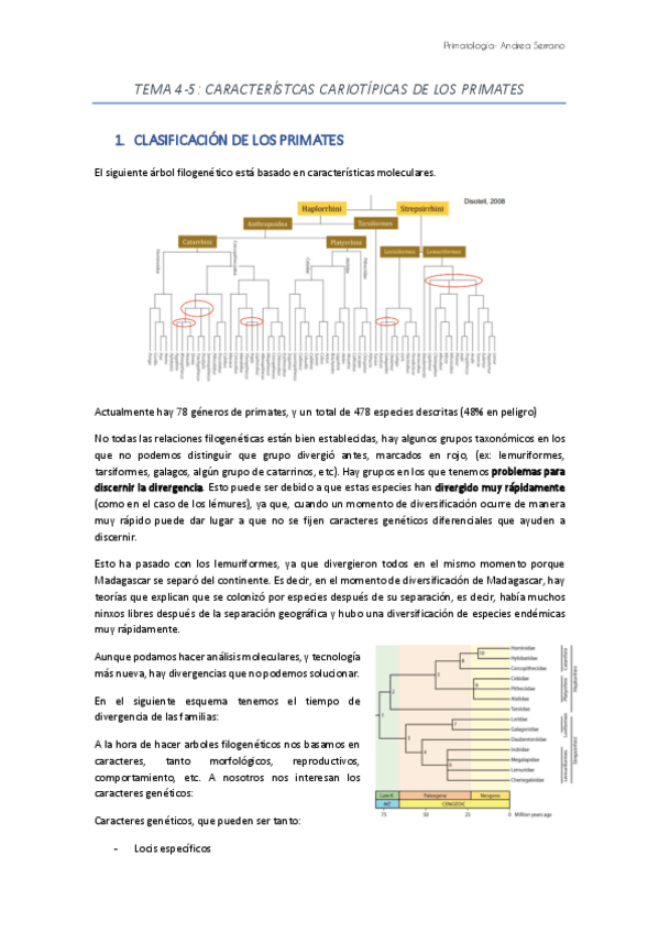 Miniatura del documento TEMA-4-y-5-CARACTERISTCAS-CARIOTIPICAS-DE-LOS-PRIMATES.pdf