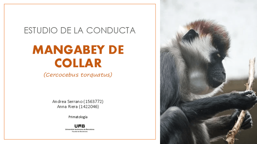 Miniatura del documento P3-ETOGRAMA.pdf