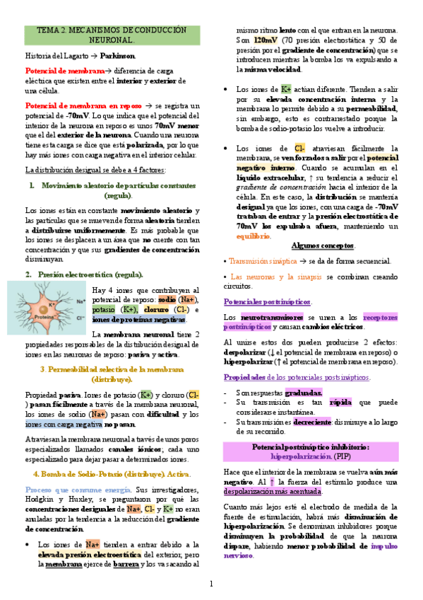 Miniatura del documento Resumen-2.-de-Psicobiologia-I.-Tema-2..pdf