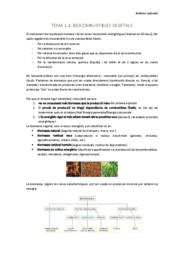 Miniatura del documento TEMA-1.4-BIOCOMBUSTIBLES-VEGETALS.pdf