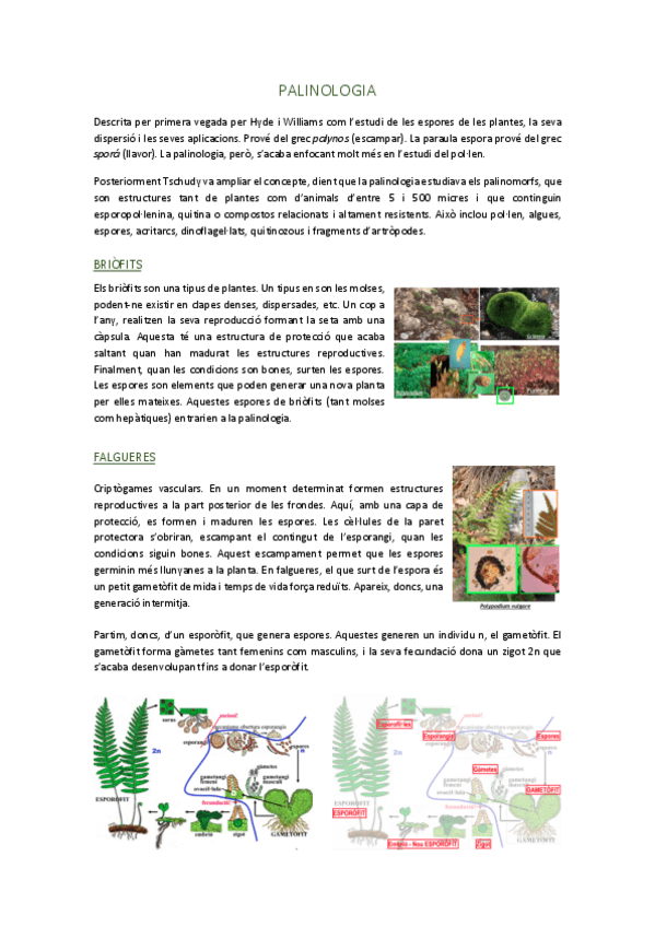 Miniatura del documento PALINOLOGIA.pdf
