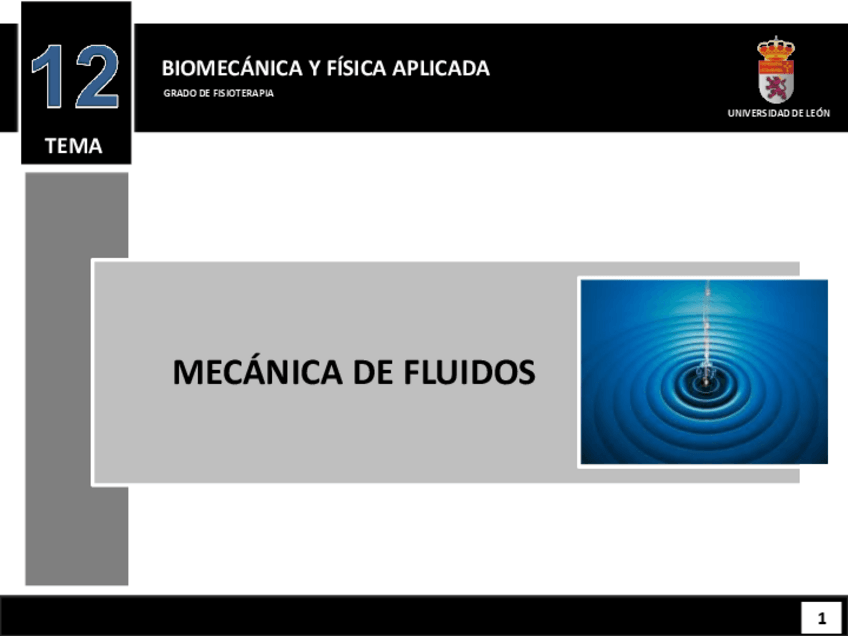 Miniatura del documento Tema-12.-Bloque-1.-Fisica.pdf