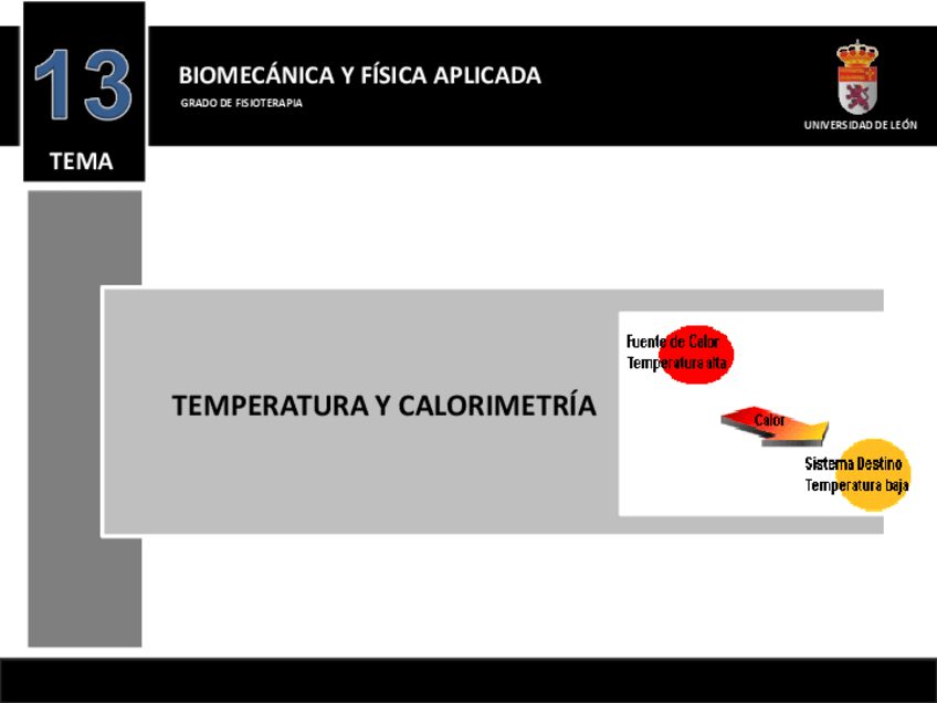 Miniatura del documento Tema-13.-Bloque-1.-Fisica.pdf