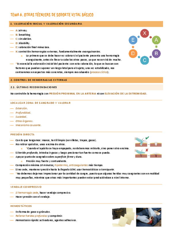 Miniatura del documento 6.-otras-tecnicas-SVB.pdf
