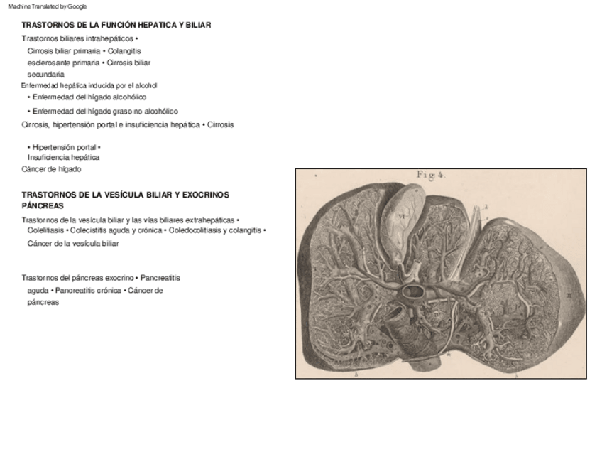 Miniatura del documento Apuntes-4o-parcial.pdf