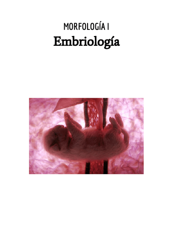 Miniatura del documento Morfo-EMBRIOLOGIA.pdf