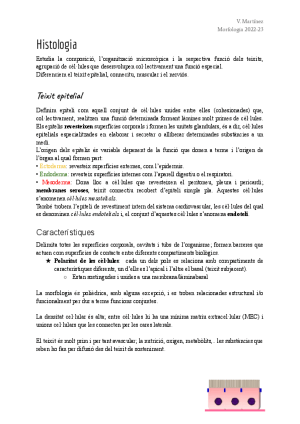 Miniatura del documento Morfo-TOT-HISTOLOGIA.pdf