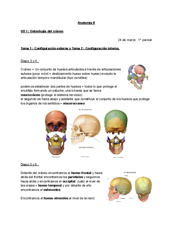 Miniatura del documento osteologia-del-craneo.pdf