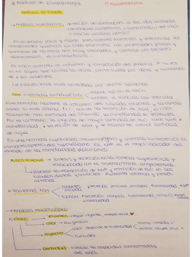 Miniatura del documento PRÁCTICAS.pdf