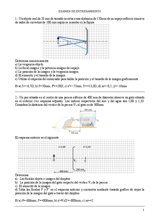 Miniatura del documento Examenentrenament2223230131181257.pdf
