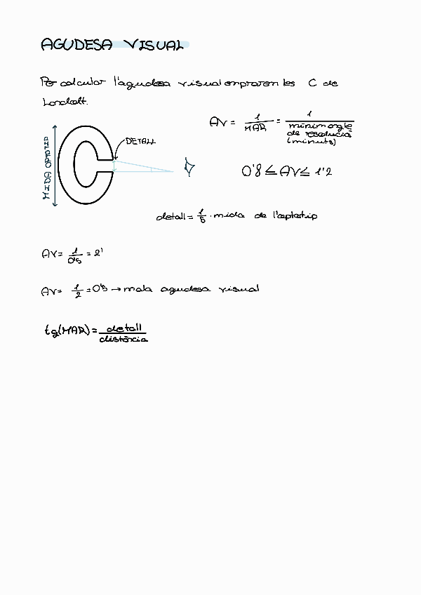 Miniatura del documento Agudesa-visual221111134517.pdf