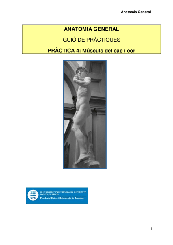 Miniatura del documento Practica-3-AG-musculs-i-cor230123075754.pdf