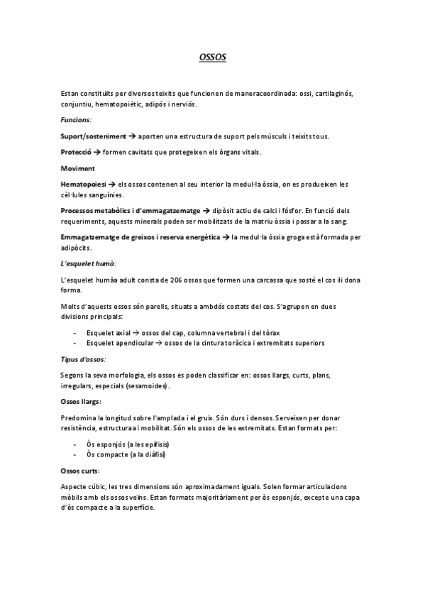 Miniatura del documento Ossos221111134529.pdf