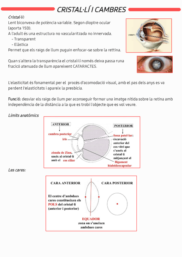 Miniatura del documento Cristalli-i-cambres230526160051.pdf