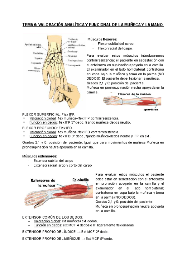 Miniatura del documento TEMA-6-VALORACION-ANALITICA-Y-FUNCIONAL-DE-LA-MUNECA-Y-LA-MANO.pdf