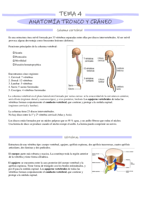 Miniatura del documento Tronco-y-craneo.pdf