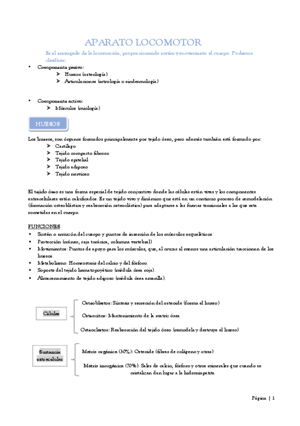 Miniatura del documento Aparato-Locomotor.pdf