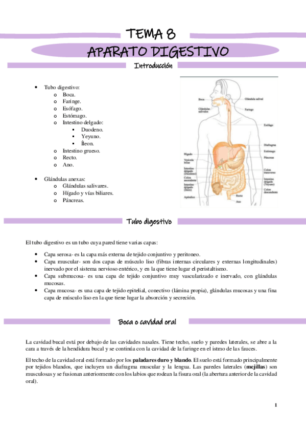 Miniatura del documento Aparato-digestivo.pdf