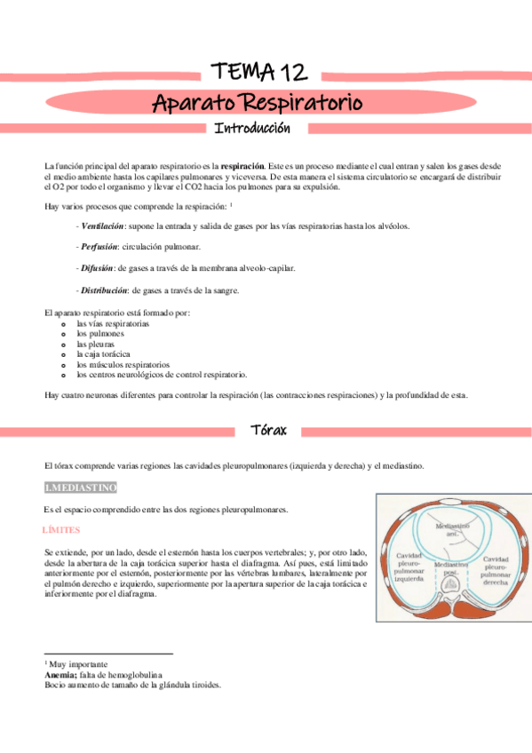 Miniatura del documento TEMA-12-Sistema-respiratorio.pdf