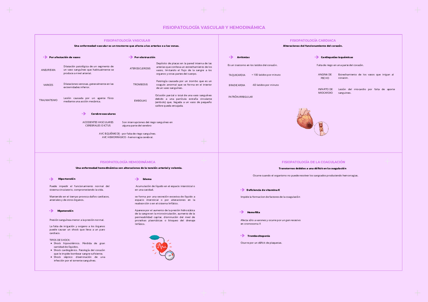 Miniatura del documento Mapa-Conceptual-Fisiopatolgia-vascular-y-hemodinamica.pdf