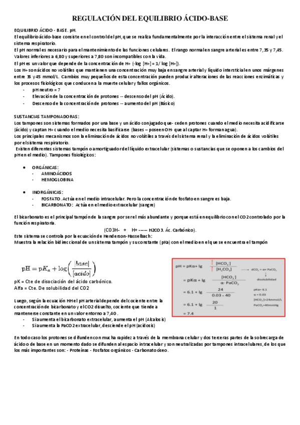 Miniatura del documento 6.-REGULACION-EQ.-ACIDO-BASE.pdf