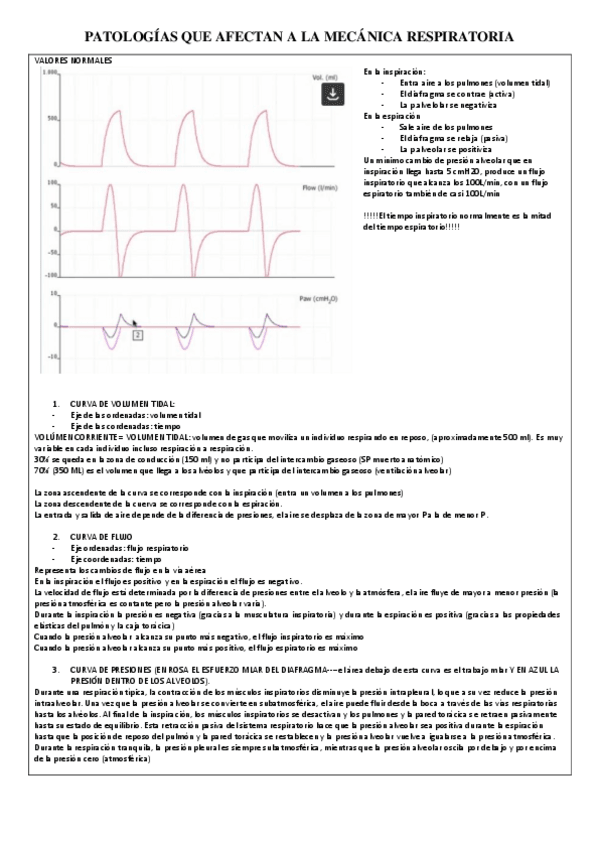 Miniatura del documento P2.-PATOLOGIAS-QUE-AFECTAN-A-LA-MECANICA-RESPIRATORIA.pdf