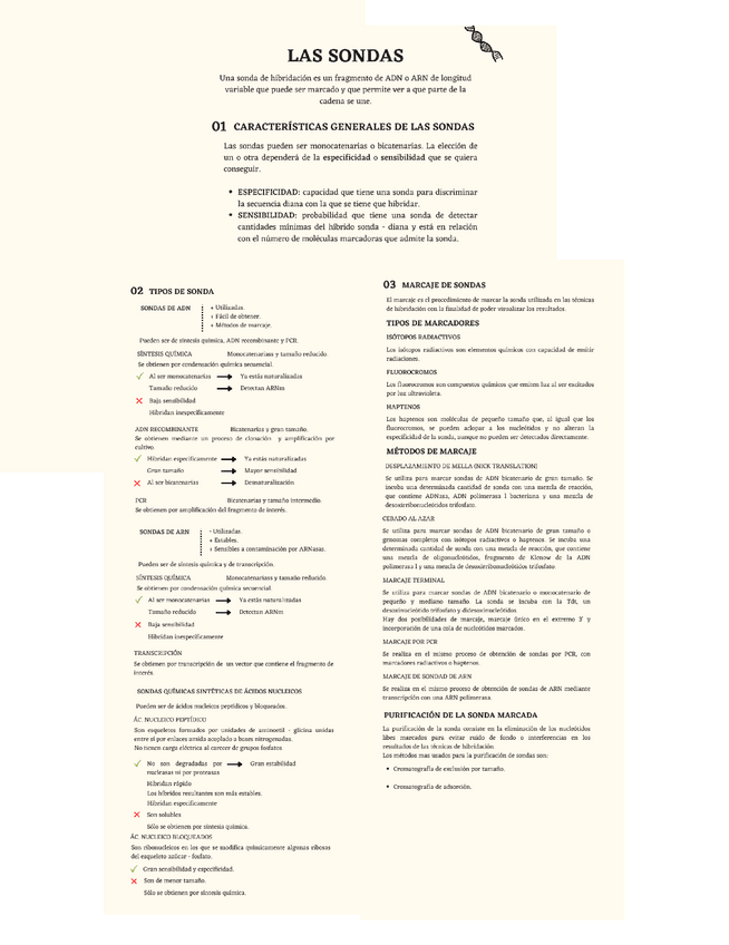 Miniatura del documento Esquema-SONDAS.pdf