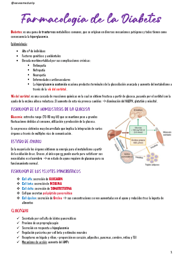 Miniatura del documento Farmacologia-de-la-Diabetes.pdf