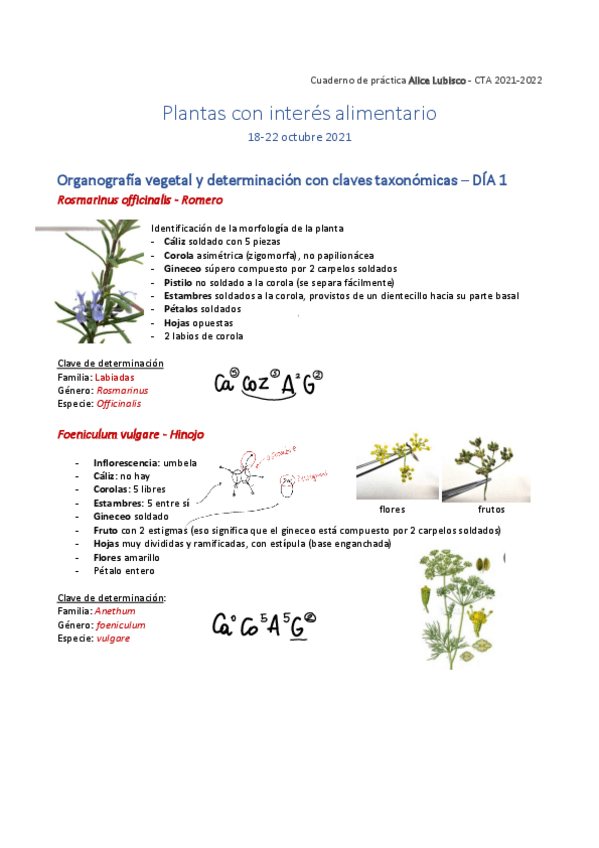 Miniatura del documento Practicas-PIA.pdf