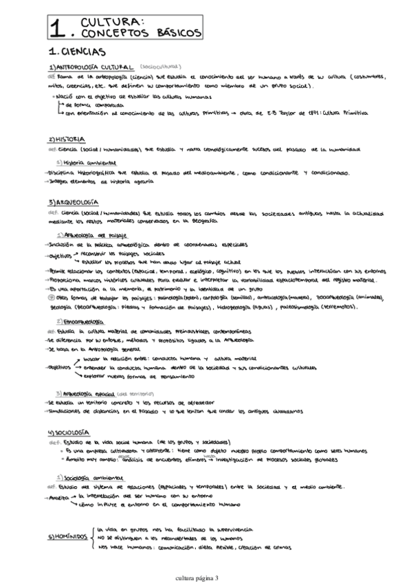Miniatura del documento apuntes-cultura-final-enero.pdf