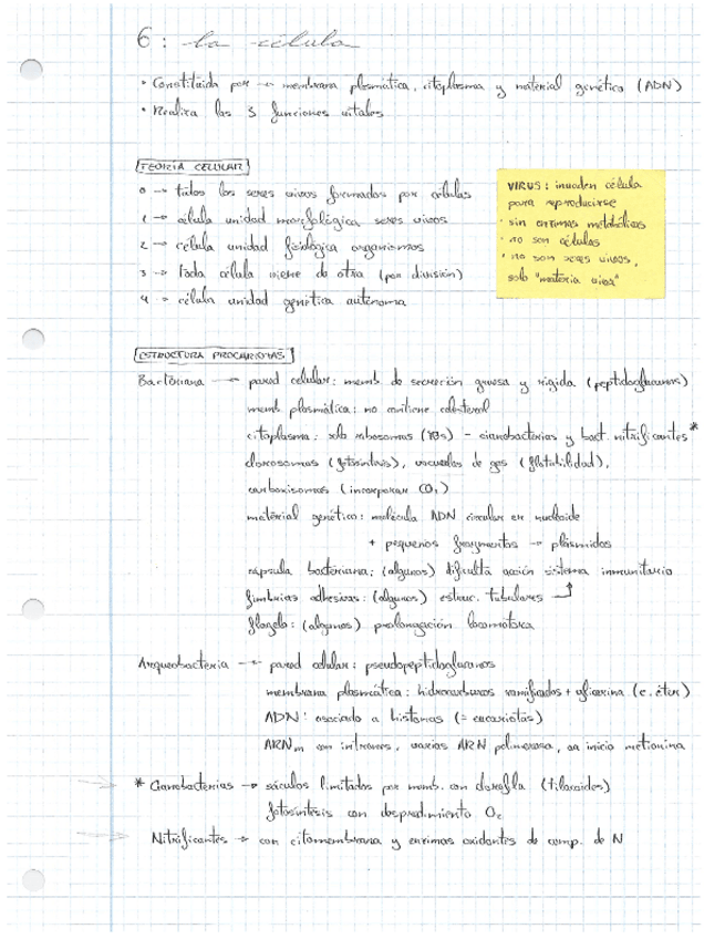 Miniatura del documento esquema-la-celula-biologia.pdf
