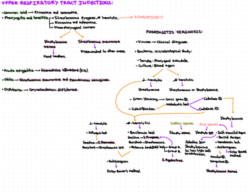 Miniatura del documento Esquemas-Microbiologia-analisis-biologicos.pdf