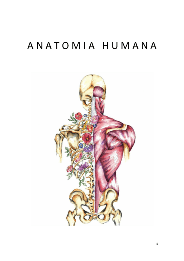 Miniatura del documento TEMA-0-todo.pdf