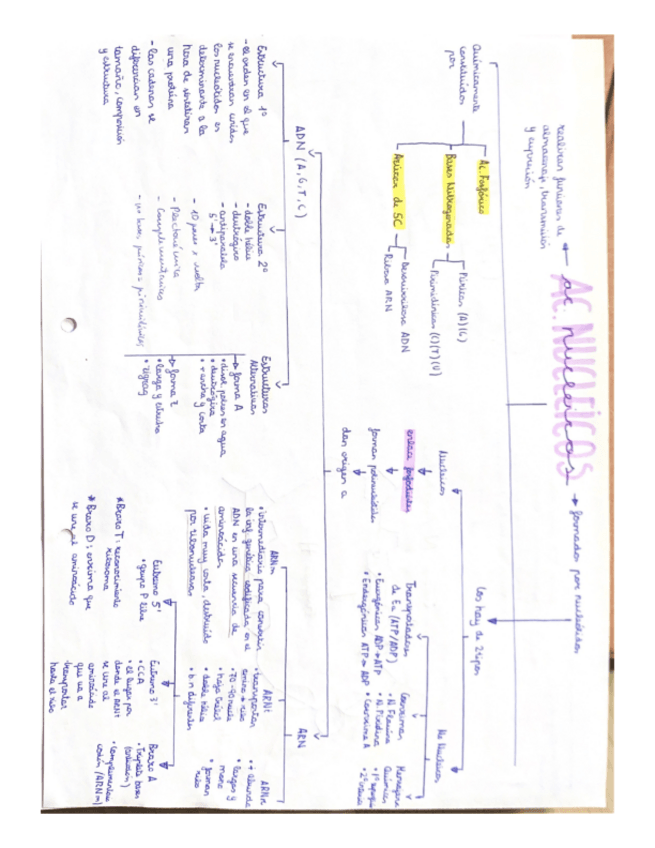 Miniatura del documento mini-resumenes-ebau.pdf