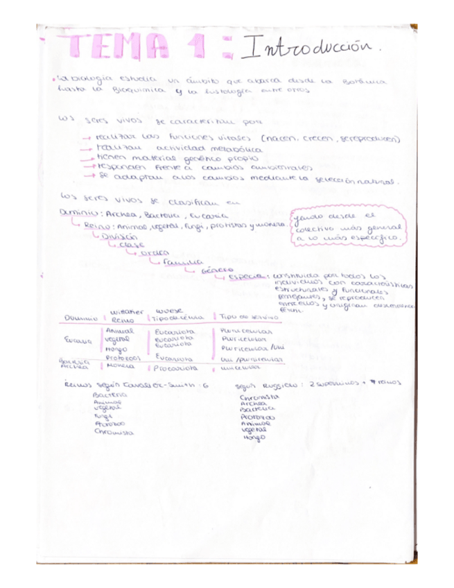 Miniatura del documento tema-1-introduccion.pdf