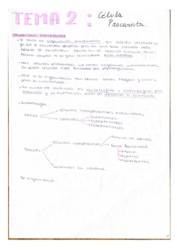 Miniatura del documento tema-2-celula-procariota.pdf
