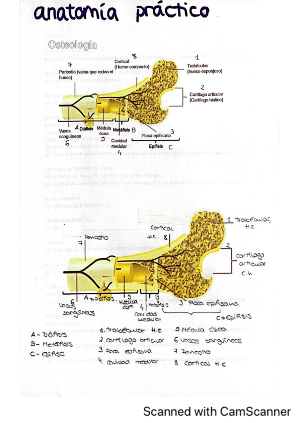 Miniatura del documento DIBUJOS-DE-EXAMEN.pdf