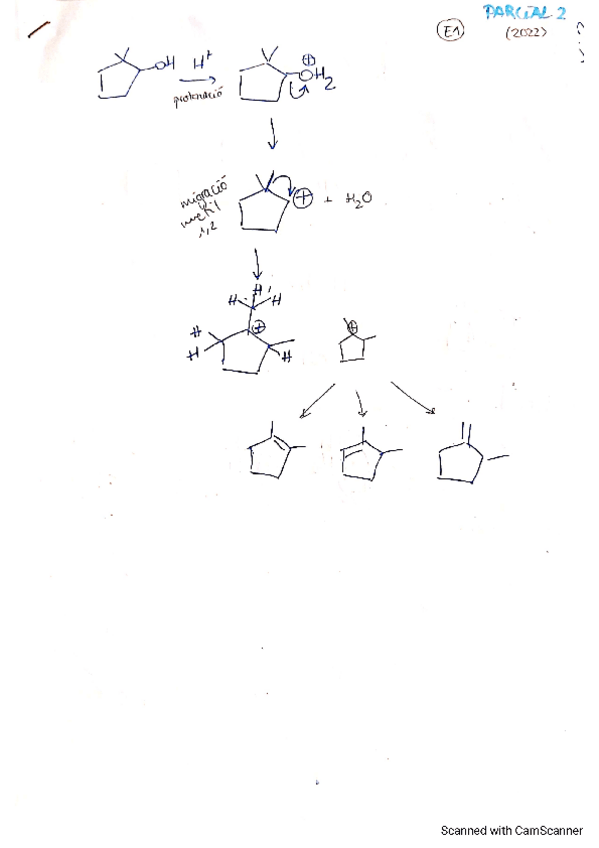 Miniatura del documento Revisio-parcial-2-2022.pdf