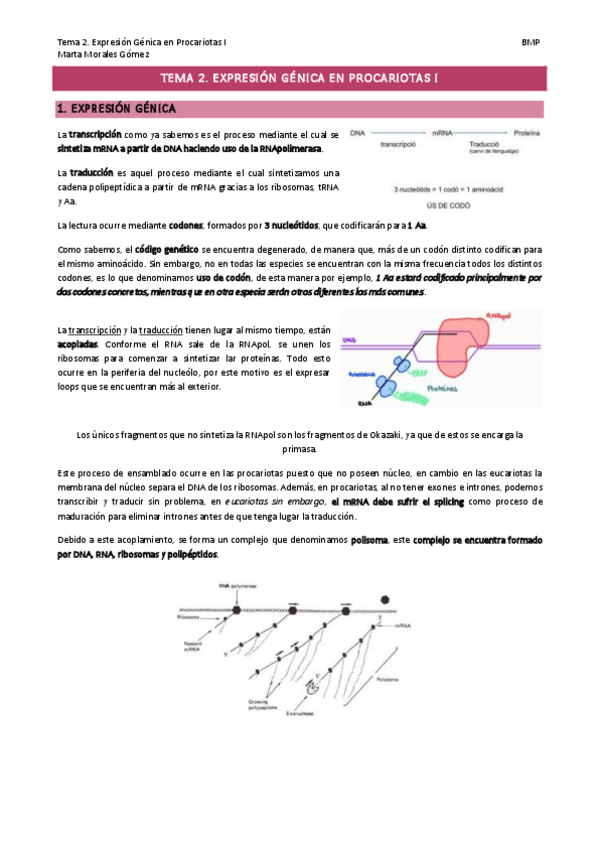 Miniatura del documento Tema-2.-Expresion-Genica-en-Procariotas-I.pdf