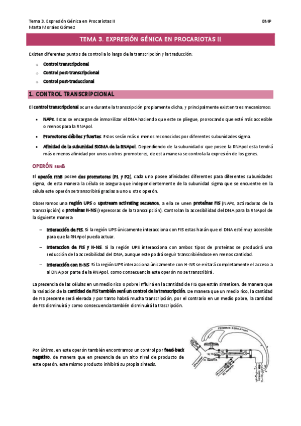 Miniatura del documento Tema-3.-Expresion-Genica-en-Procariotas-II.-Comentarios.pdf