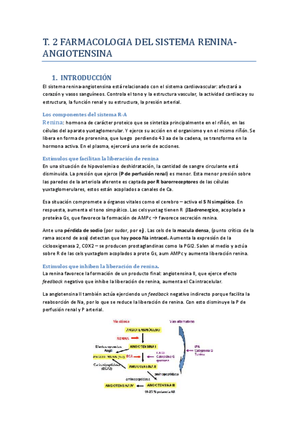 Miniatura del documento T2-SRAA.pdf