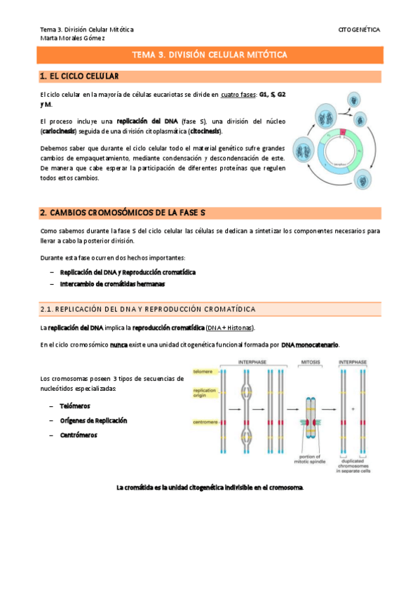 Miniatura del documento Tema-3.-Division-Celular-Mitotica.pdf