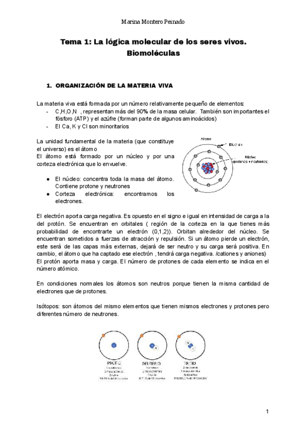 Miniatura del documento Bioquimica-apuntes-enteros.pdf